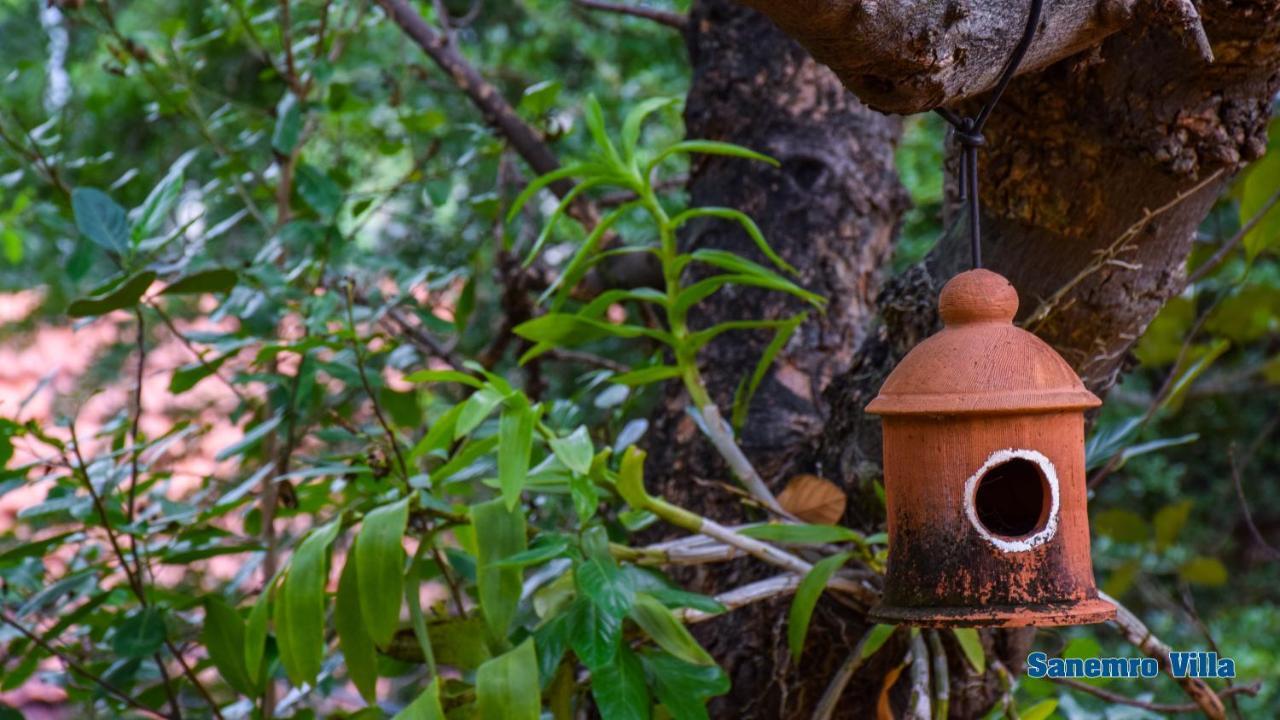 Sanemro Villa Dambulla Ngoại thất bức ảnh