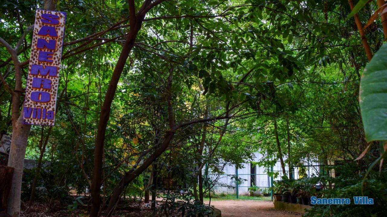 Sanemro Villa Dambulla Ngoại thất bức ảnh